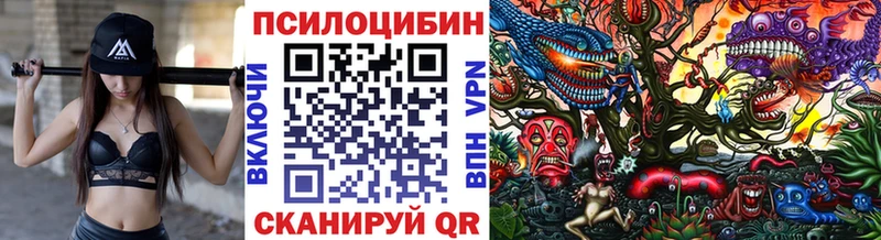 Галлюциногенные грибы Psilocybine cubensis  закладки  Орехово-Зуево 